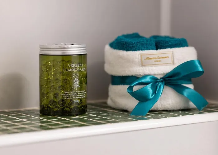 Emerald Aviatiei 公寓